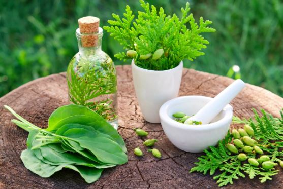 Herbal Medicines Two-Day Int’l exhibition, seminar on herbal medicines concludes