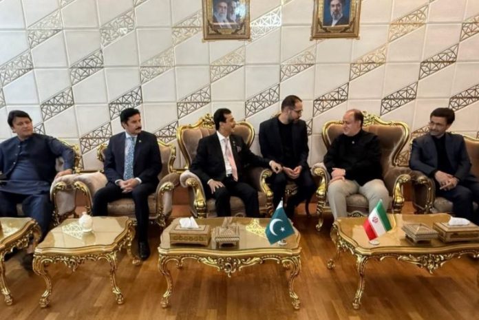 Gilani arrives in Tehran, receives official welcome, guard of honour