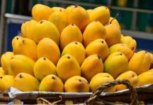 Pakistani mangoes in the spotlight at Beijing event as new trade deals signed Pakistani mangoes in the spotlight at Beijing event as new trade deals signed