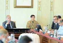 18 MW solar systems to be installed on 499 govt buildings in GB by Dec 2026: PM briefed 18 MW solar systems to be installed on 499 govt buildings in GB by Dec 2026: PM briefed