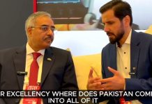 Pakistan can drive Global South cooperation, says D-8 chief Pakistan can drive Global South cooperation, says D-8 chief