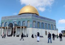 Eight muslim nations jointly condemn Israeli Al-Aqsa escalation Eight muslim nations jointly condemn Israeli Al-Aqsa escalation