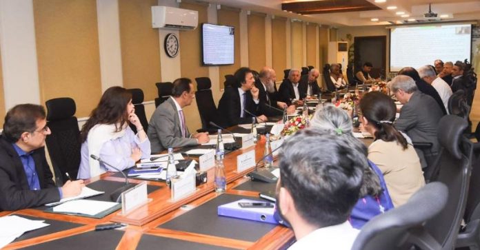 Finance minister virtually chairs ECC, approves steering committee for wheat import mechanism