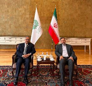 DNA 8-9 Ambassador Mahmood conveys D-8 condolences to Iranian leadership
