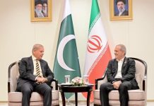 PM Shehbaz , Iranian President Pezeshkian Reaffirm Bilateral Ties, Regional Peace Efforts at SCO Summit in Bishkek