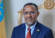 A day to remember: Ethiopia plants 800 million trees in dingle day A day to remember: Ethiopia plants 800 million trees in dingle day