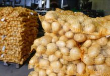 Pakistani potatoes now have export access to 36 global markets Pakistani potatoes now have export access to 36 global markets