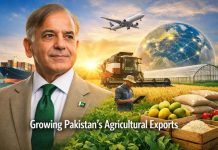 PM Shehbaz clinches landmark Saudi agri-export agreement PM Shehbaz clinches landmark Saudi agri-export agreement