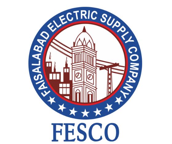 NEWS FESCO privatisation draws strong Turkish, Chinese, local interest