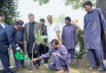 Ethiopian Embassy, AIOU Â launch green legacy