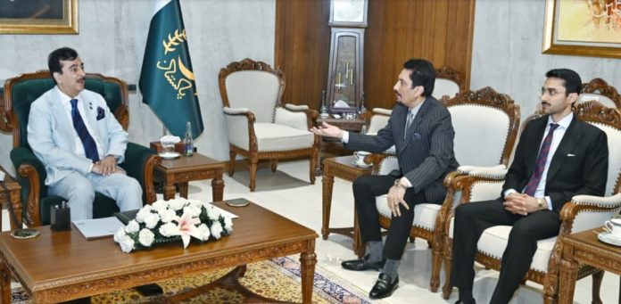Acting President Gilani emphasises responsible media’s role in promoting Pakistan’s positive image