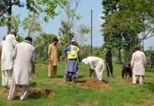 CDA intensifies tree plantation drive across Islamabad CDA intensifies tree plantation drive across Islamabad