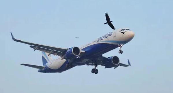 NEWS Pakistan extends airspace closure for Indian aircraft until October 24