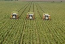 Farmers urged to adopt modern techniques for higher crop yields Farmers urged to adopt modern techniques for higher crop yields