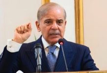 PM Shehbaz seeks suspension of long-term projects in KP, urges short-term steps PM Shehbaz seeks suspension of long-term projects in KP, urges short-term steps